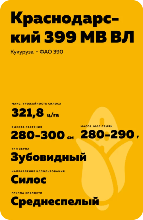 Краснодарский 399 МВ ВЛ гибрид кукурузы