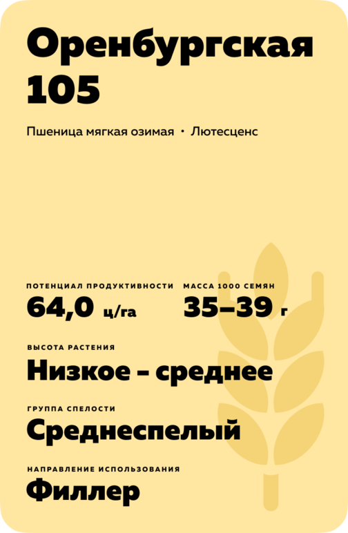 Оренбургская 105 сорт мягкой озимой пшеницы