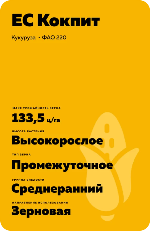 ЕС Кокпит (ES COCKPIT)