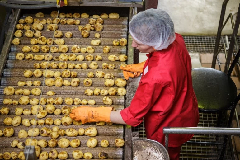 🍟"Мираторг" и "Вкусно - и точка" построят завод по производству картофеля фри