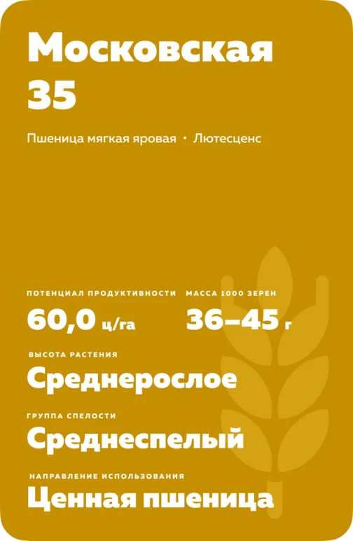 Московская 35 сорт мягкой яровой пшеницы