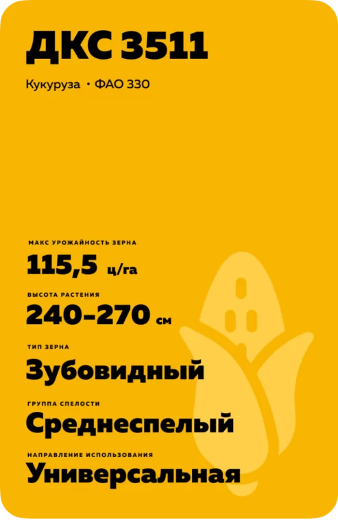 ДКС 3511 гибрид кукурузы