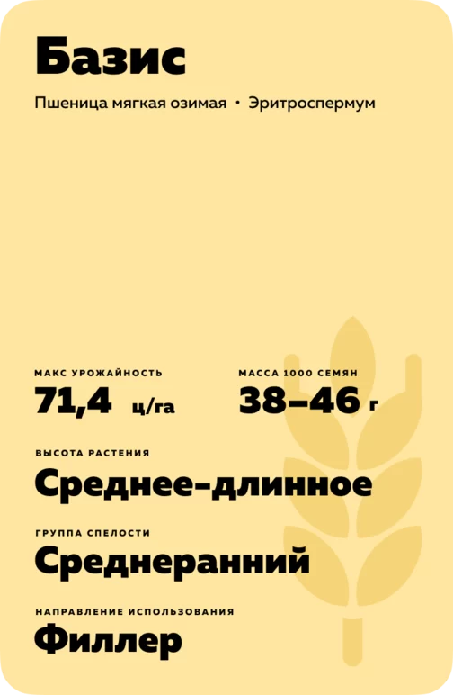Базис сорт мягкой озимой пшеницы