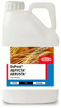 Абруста, КС