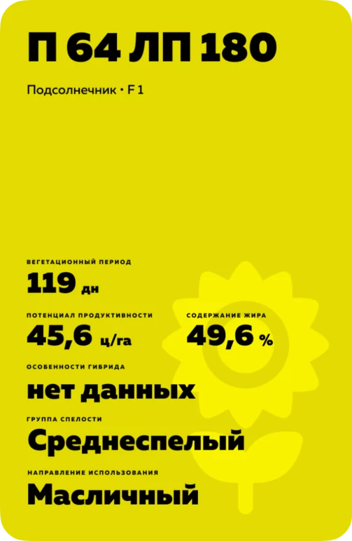 П 64 ЛП 180 (P 64 LP 180) подсолнечник