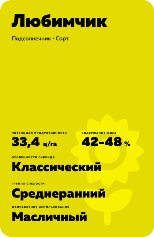 Любимчик