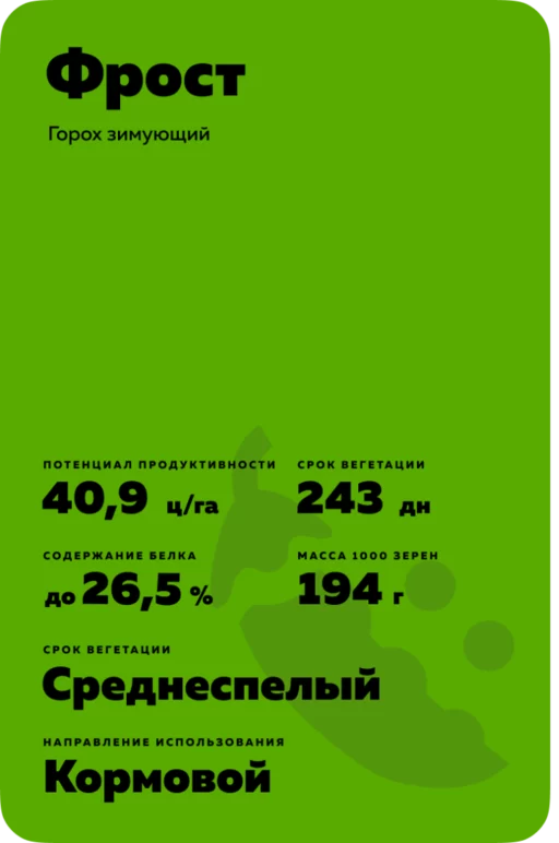 Фрост