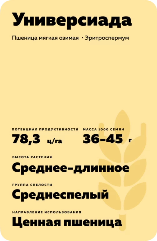 Универсиада