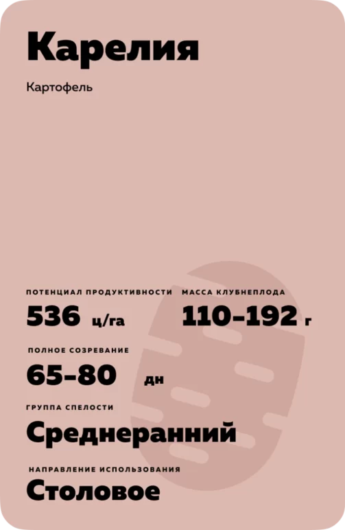 Карелия - картофель. Характеристики и отзывы