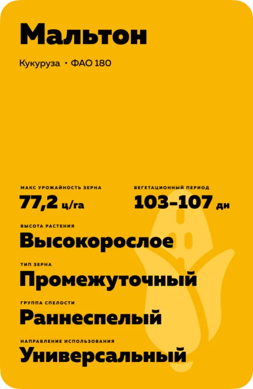 Мальтон (MALTON) гибрид кукурузы