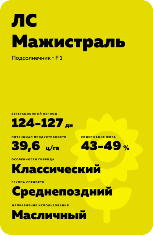 ЛС Мажистраль (LS MAGISTRAL)