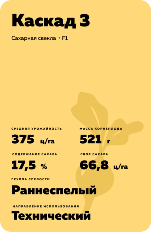 Каскад 3 гибрид сахарной свеклы