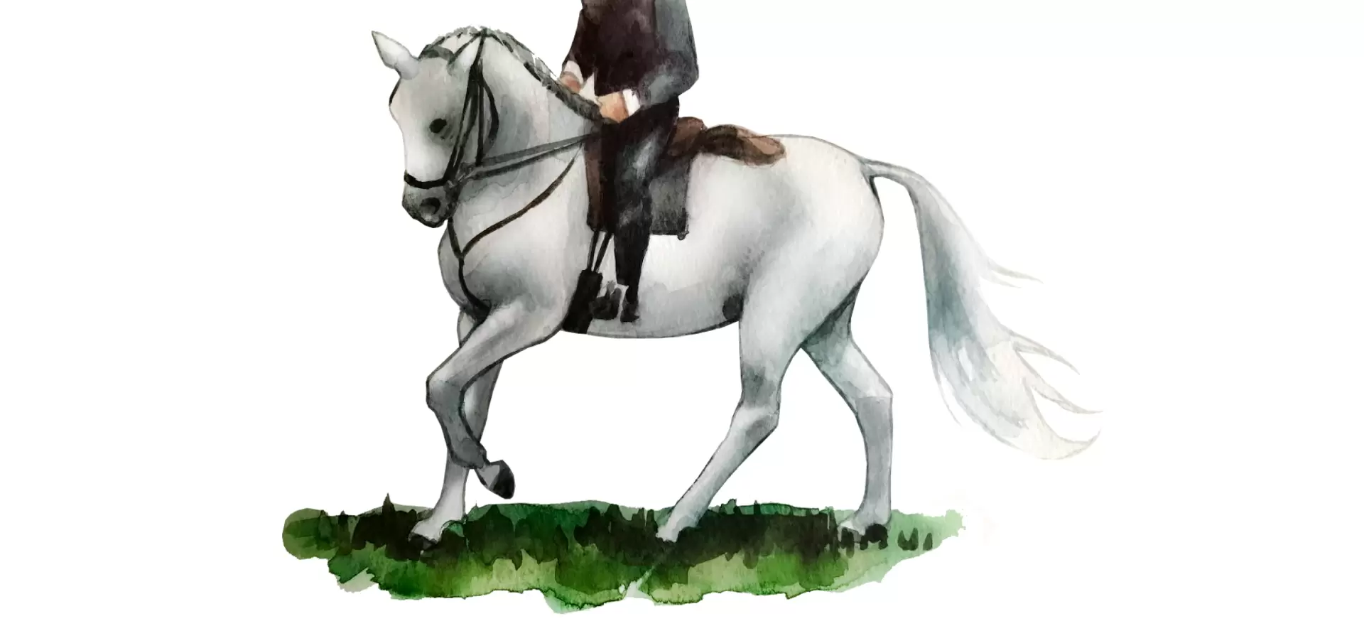 Лошадь Лузитанская описание породы характеристики уход и отзывы