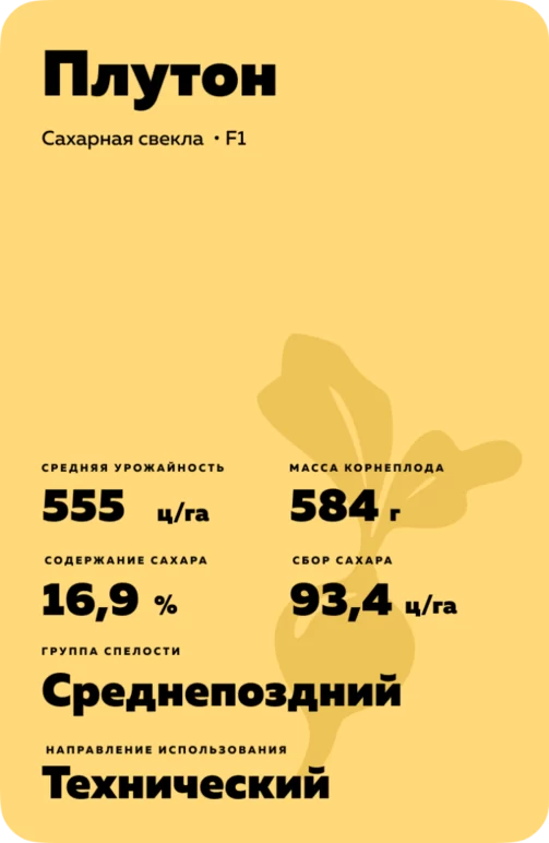 Плутон