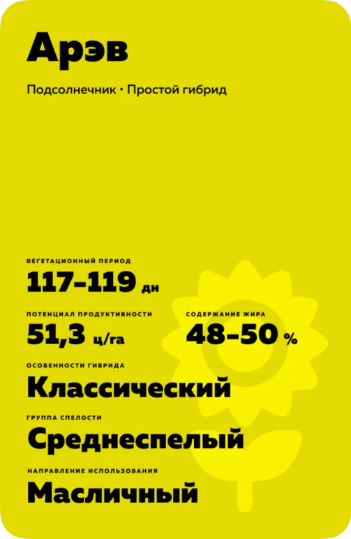 Арэв подсолнечник