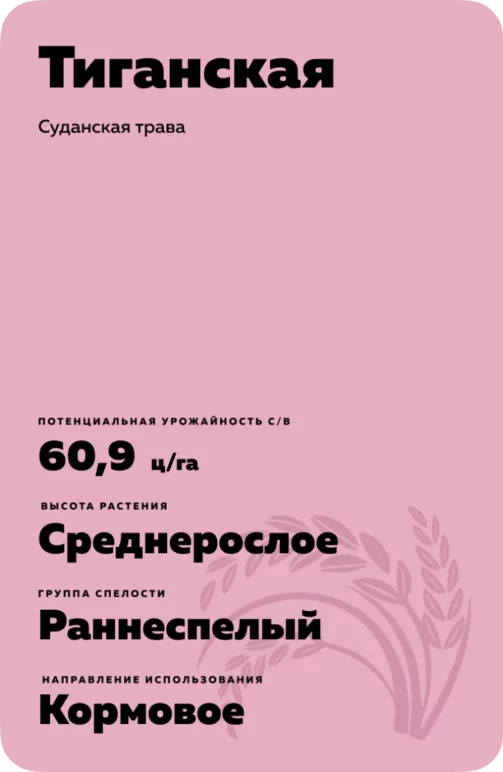 Тиганская