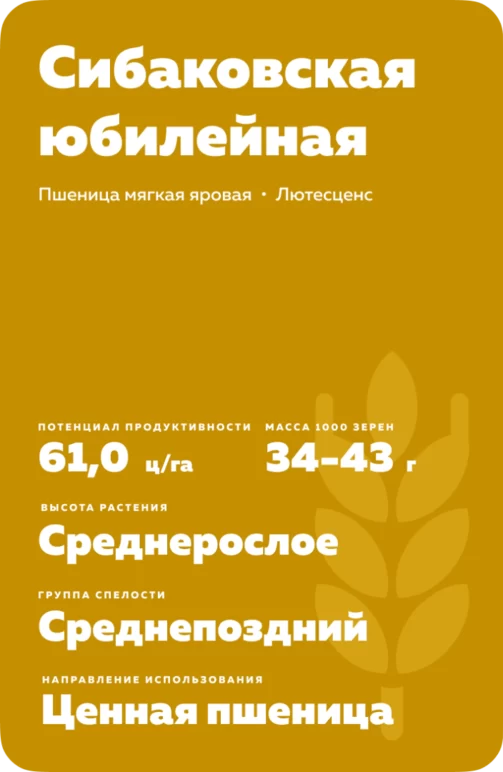 Сибаковская юбилейная