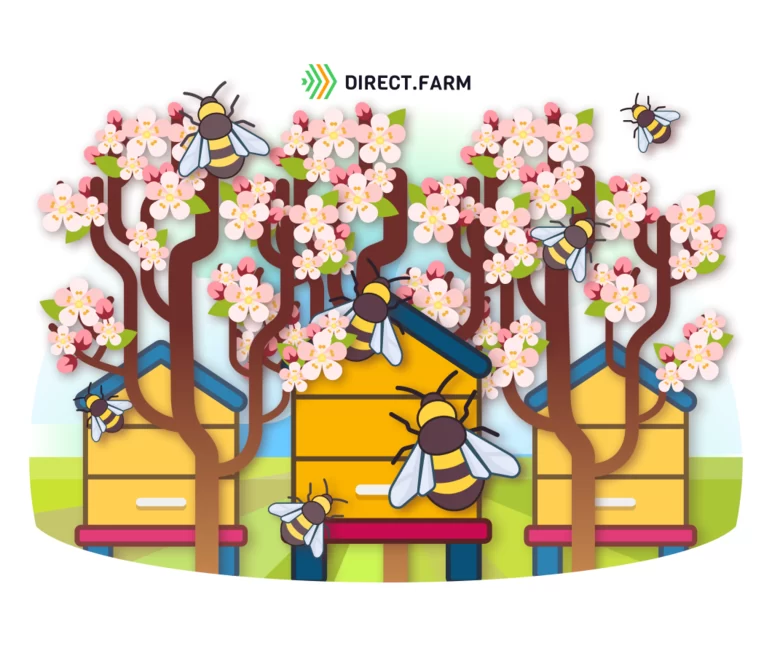 Опыление плодово-ягодных культур медоносными пчелами