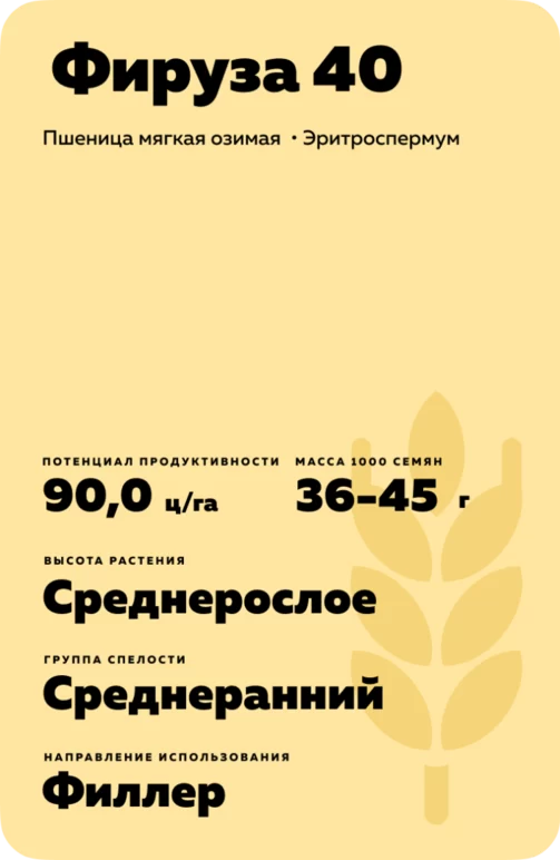 Фируза 40