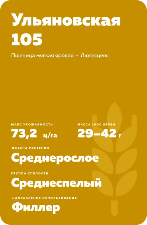 Ульяновская 105  сорт мягкой яровой пшеницы