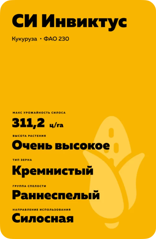 СИ Инвиктус - гибрид кукурузы ( Zea mays L.).