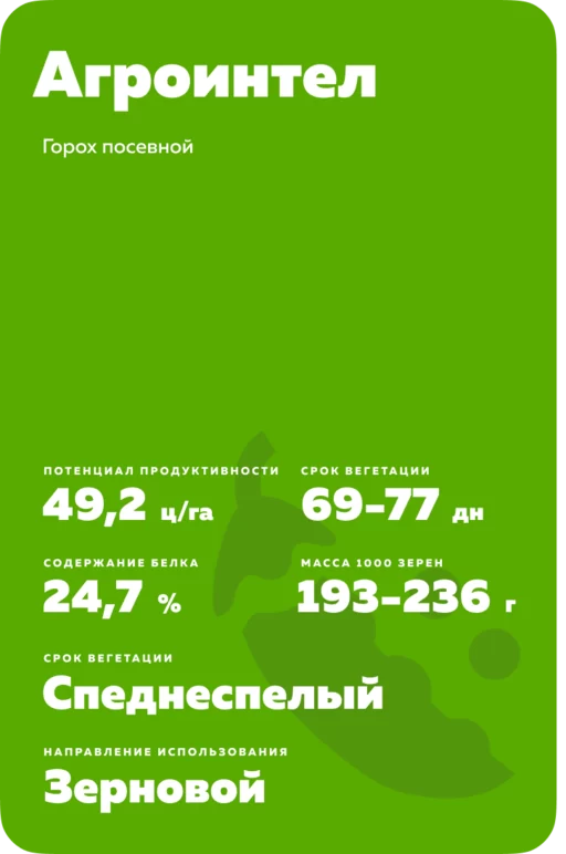 Агроинтел сорт гороха посевного
