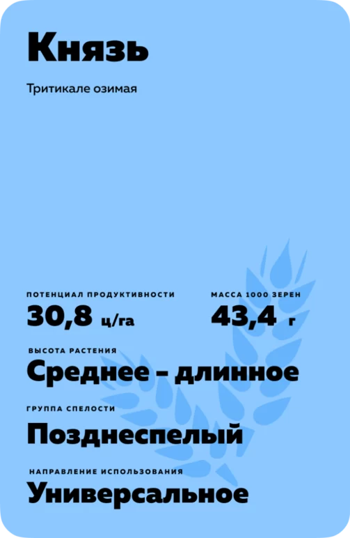 Князь