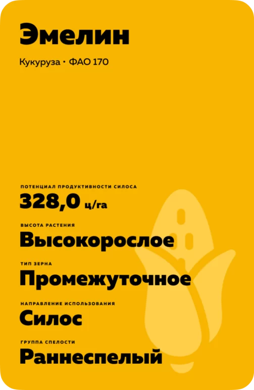 Эмелин гибрид кукурузы Лимагрейн