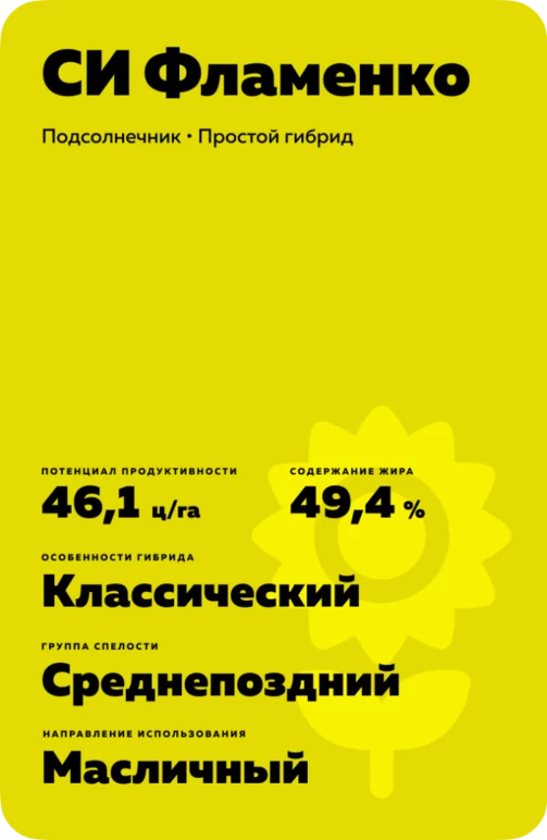 СИ Фламенко
