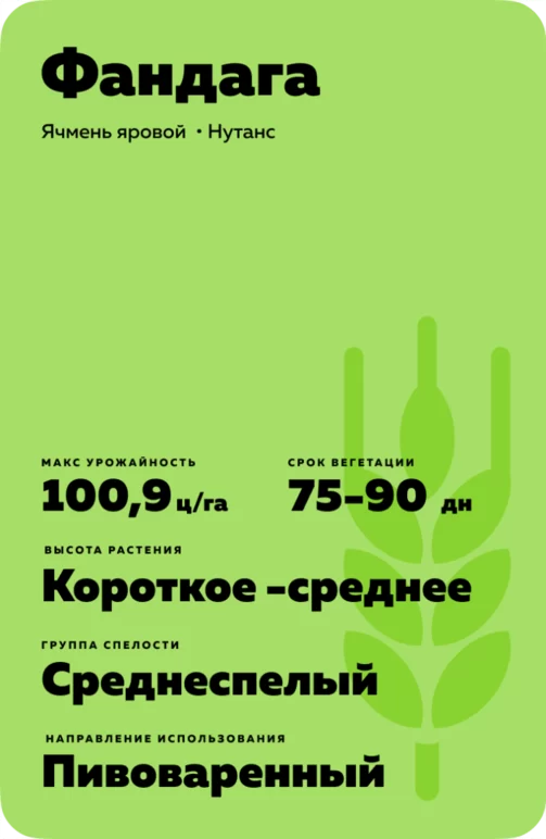 Фандага (FANDAGA)