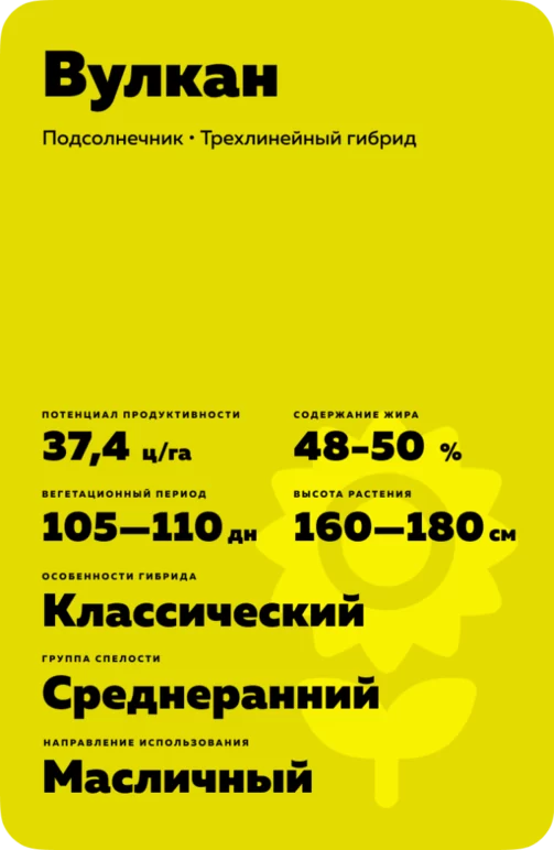 Вулкан подсолнечник