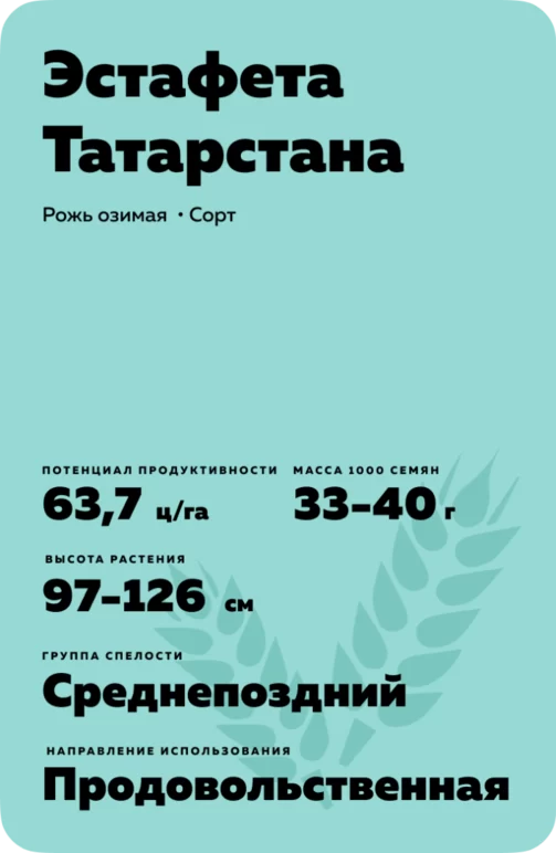 Эстафета Татарстана
