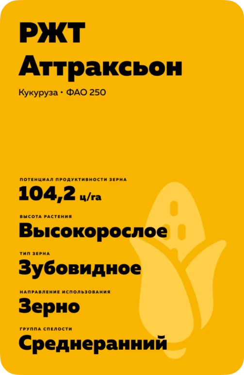 РЖТ Аттраксьон гибрид кукурузы