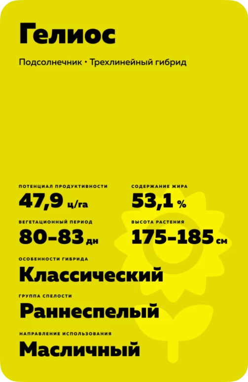 Гелиос гибрид подсолнечника