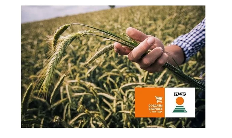 КВС РУС запускает онлайн-магазин семян