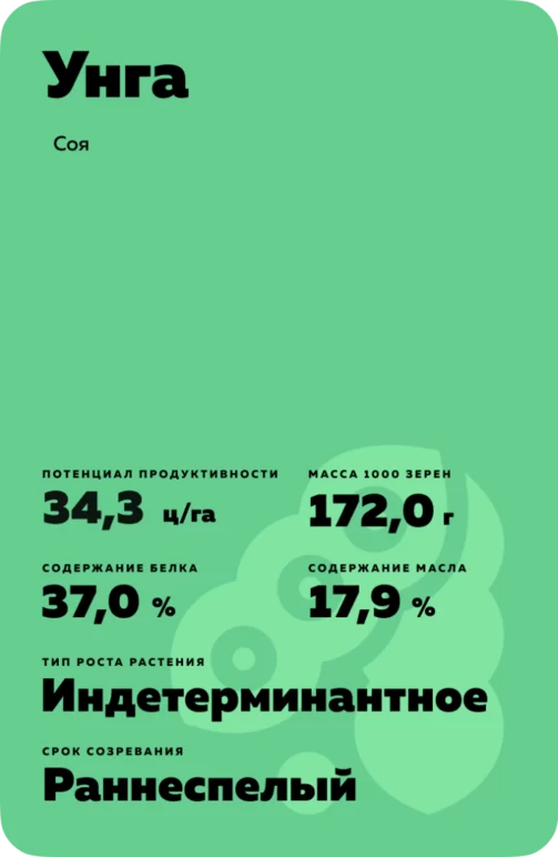 Унга