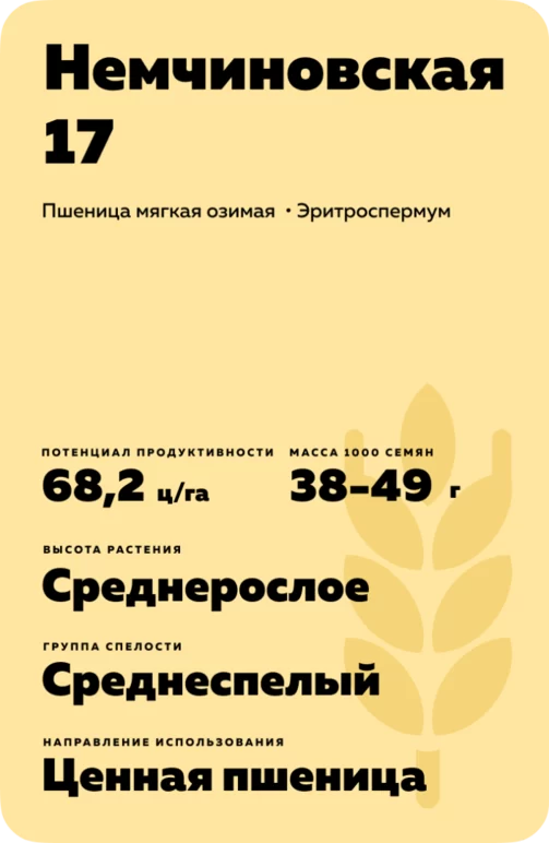 Немчиновская 17
