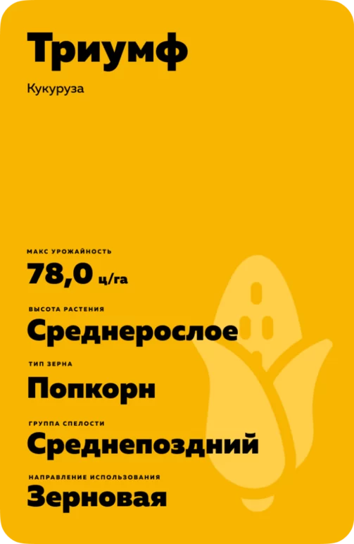 Триумф - гибрид кукурузы ( Zea mays L.).