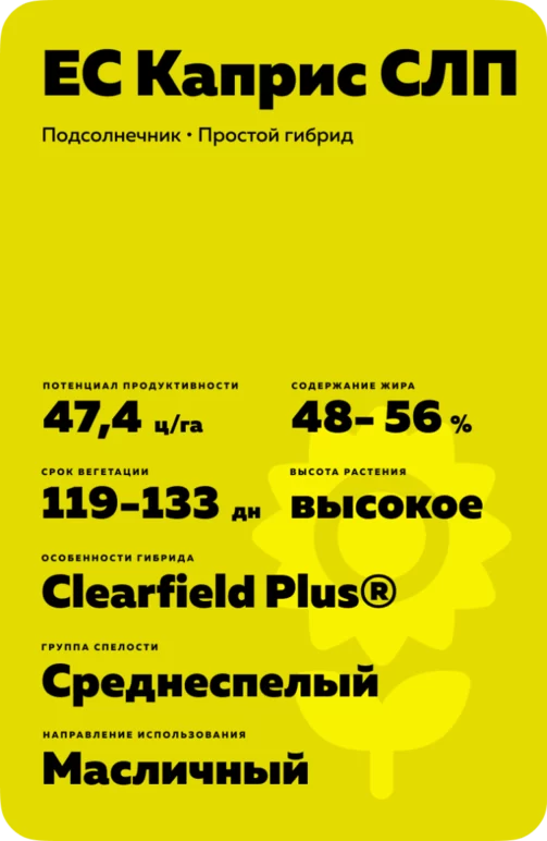 ЕС Каприс СЛП (ES KAPRIS CLP)