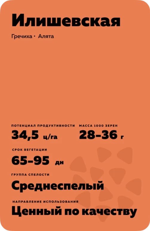 Илишевская