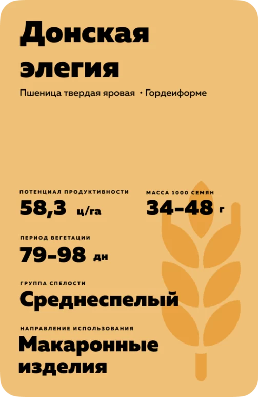 Донская элегия