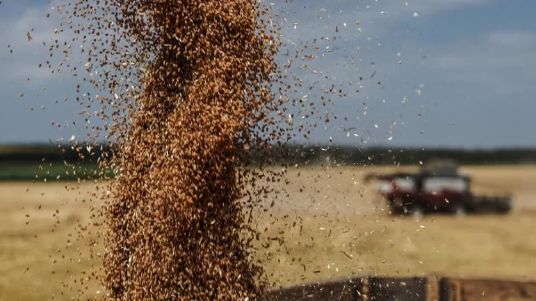 ФАС выступила против запрета на работу западных зернотрейдеров в РФ