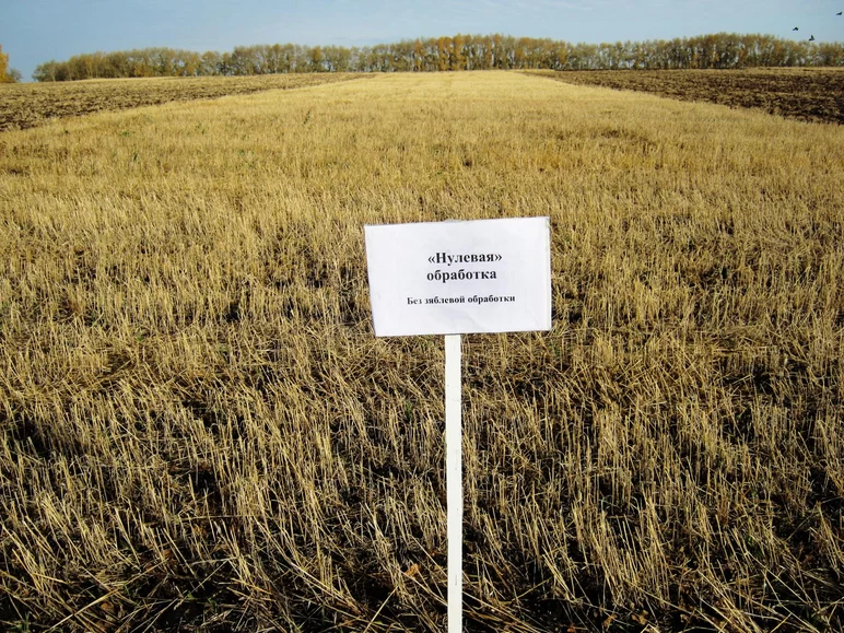 равнение способов зяблевой обработки почвы под зерновые культуры в Западной Сибири