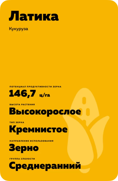 Латика гибрид кукурузы
