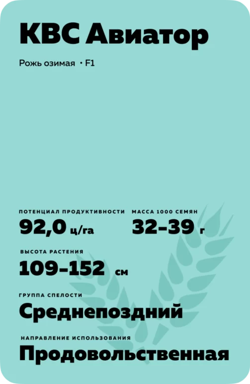 КВС Авиатор рожь озимая