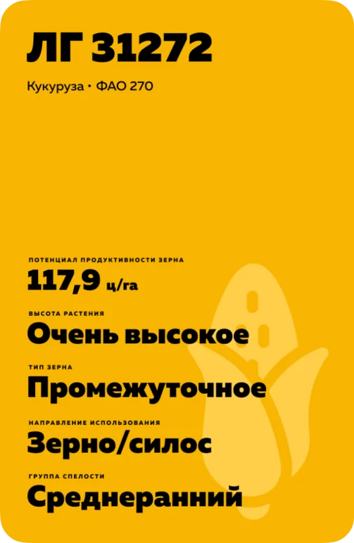 ЛГ 31272 гибрид кукурузы Лимагрейн