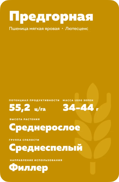 Предгорная