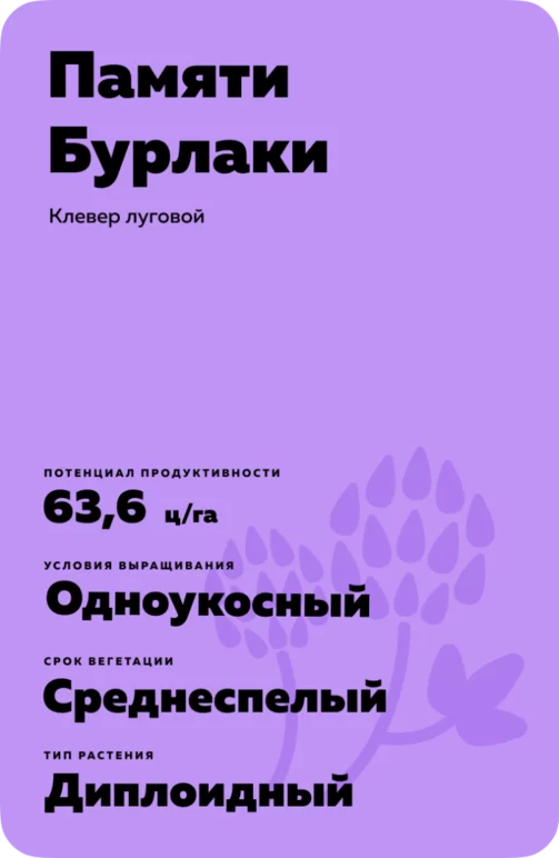 Памяти Бурлаки