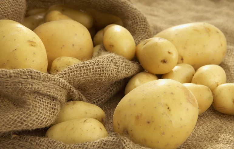 Урожайность картофеля 