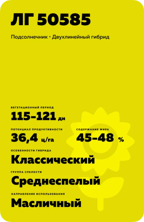 ЛГ 50585 подсолнечник Лимагрейн